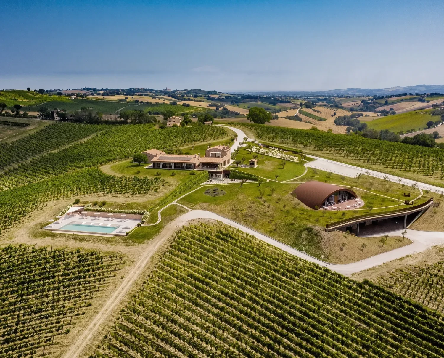 Filodivino