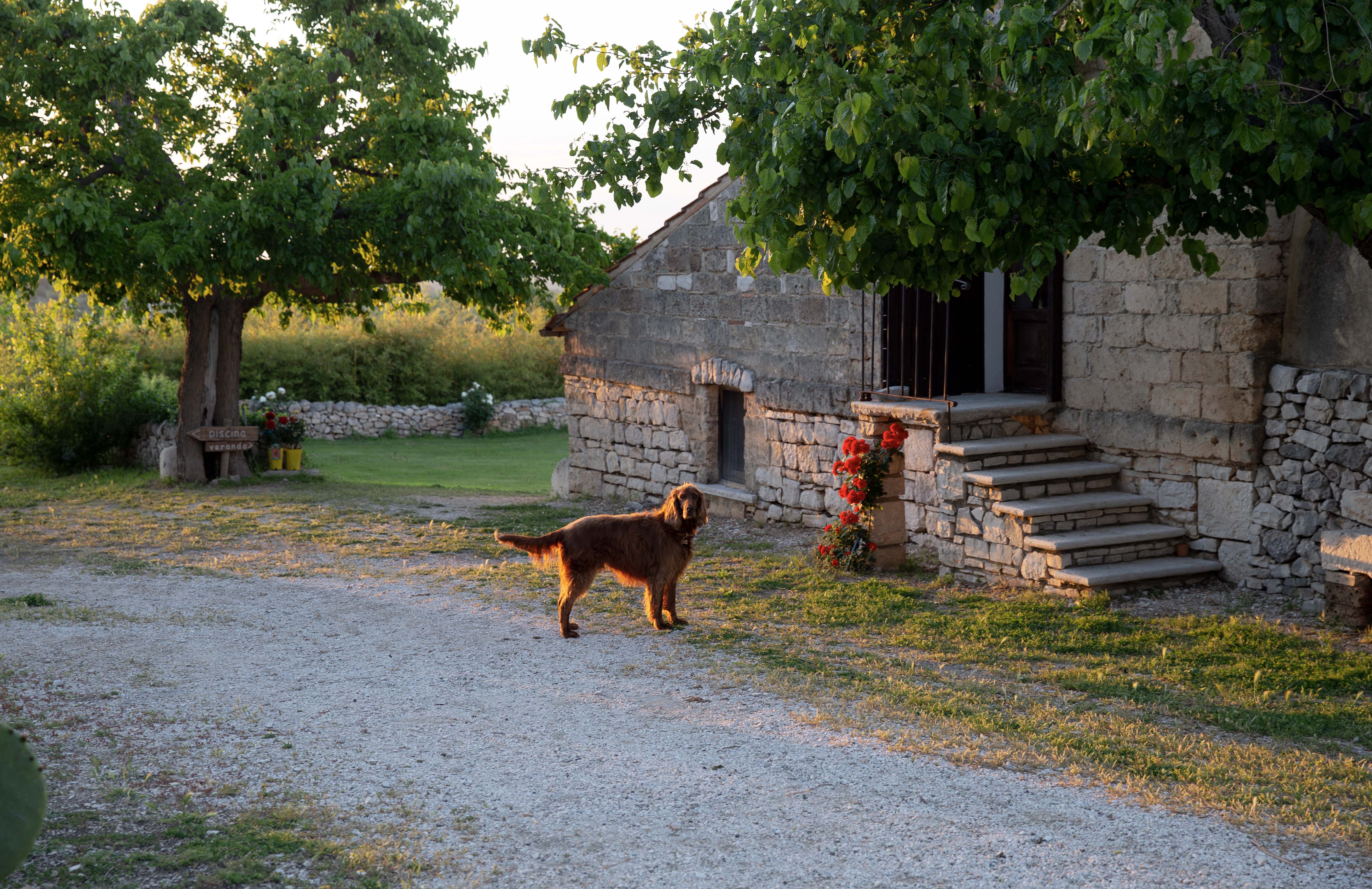 210 hectares, certified organic
